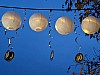 2023-11-12_026