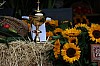 2026-09-20_005