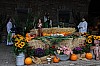 2026-09-20_015