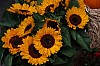 2026-09-20_028